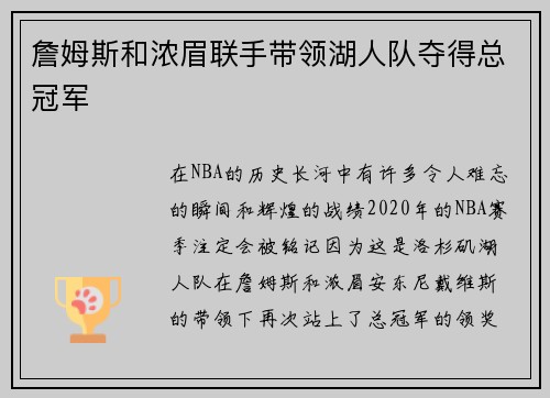 詹姆斯和浓眉联手带领湖人队夺得总冠军