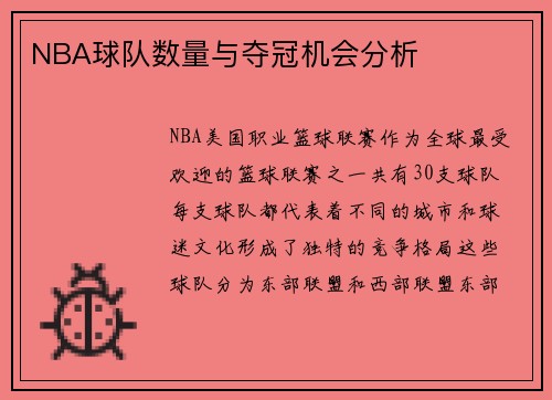 NBA球队数量与夺冠机会分析